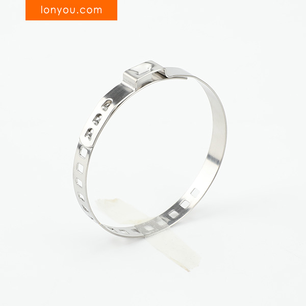 Adjustable Single Ear Clamps